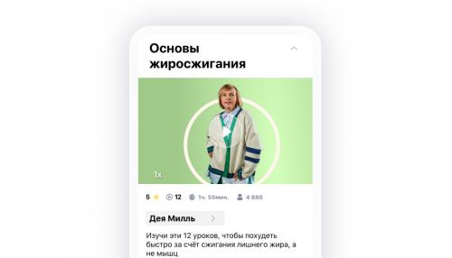 Какие другие факторы влияют на сжигание жира. Механизм сжигания жиров