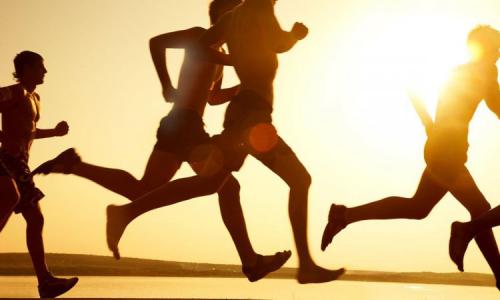 Похудение с силовыми тренировками: лучший способ для женщин 03 Похудение с силовыми тренировками: лучший способ для женщин 03