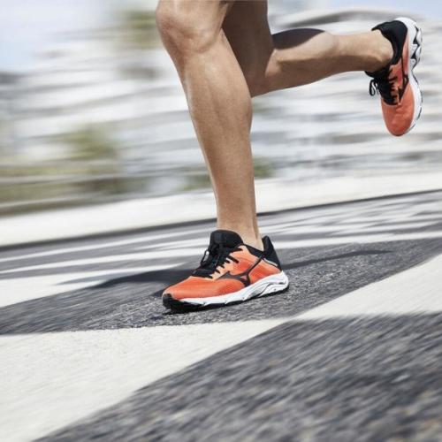 Программа тренировок для похудения в зале: как достичь успеха 02