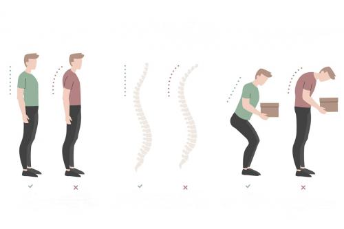 Влияет ли растяжка на улучшение осанки у мужчин. Сутулость во взрослом возрасте: как выпрямить круглую спину