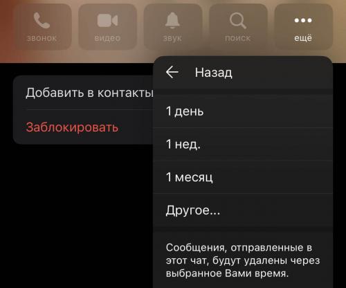 Можно ли удалить сообщения или разговоры в Telegram. Как удалить сообщение в Телеграм на iPhone и очистить переписку в чате