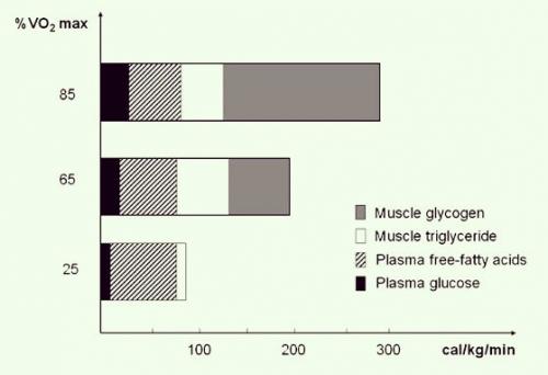 Как определить, насколько эффективной была жиросжигающая тренировка. Как тратить максимум жиров на тренировке?