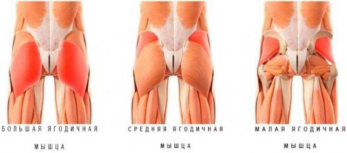 Станьте сильнее и гибче: тренировка на ягодицы и ноги дома 09