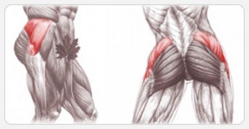 Какие упражнения помогают четко отделить ягодицы от задней части бедер. Упражнение, что бы четко отделить ягодицы от задней части бедер