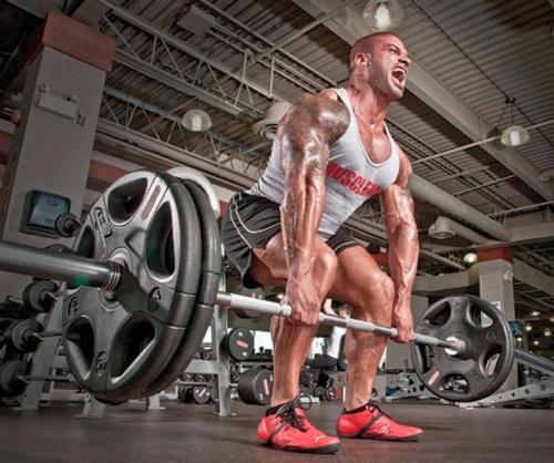 Как правильно выполнять упражнения, чтобы максимально задействовать мышцы и прокачать Силу. Лучшие упражнения для развития силы