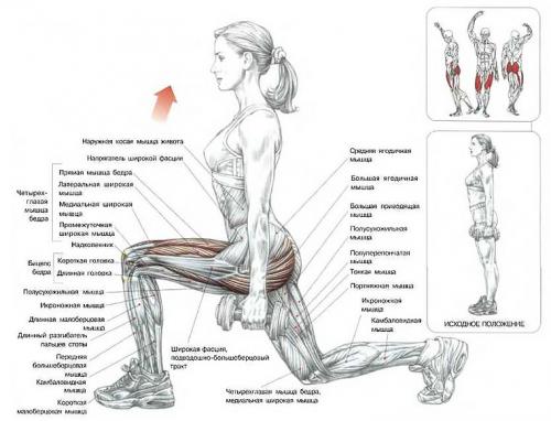 Как можно организовать тренировку на дому, не прибегая к помощи тренажеров. Самостоятельная работа над собой — изучаем упражнения