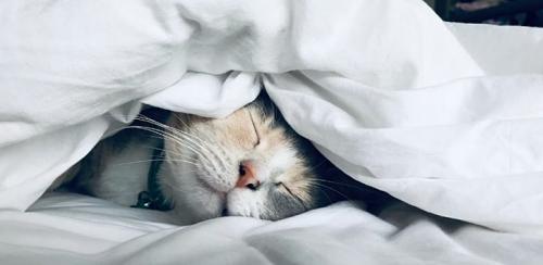 Как правильно выполнять дыхательные упражнения для максимальной пользы сердцу. Обзор исследований о влиянии дыхательных упражнений на физическое и ментальное здоровье