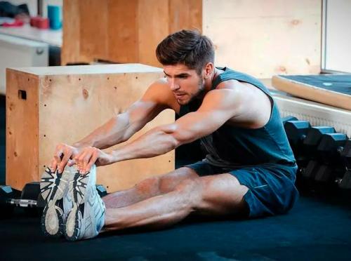 Какие группы мышц следует вытягивать после тренировки. Как выполнять растяжку правильно?