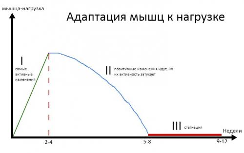 Как часто менять программу тренировок: советы для эффективного прогресса 06 Как часто менять программу тренировок: советы для эффективного прогресса 06