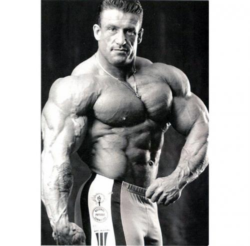 Как правильно подобрать упражнения для тренировок в зале без тренера. Предпочтения с годами меняются