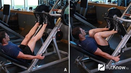 Секреты идеальных ног и ягодиц: как правильно тренироваться в зале 01