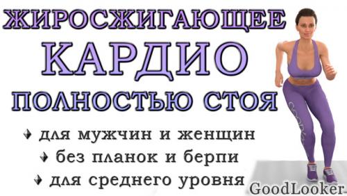 Какие виды кардио тренировок наиболее подходят для женщин дома. Кардио-тренировка полностью стоя для сжигания жира (средний уровень, без планок и берпи)
