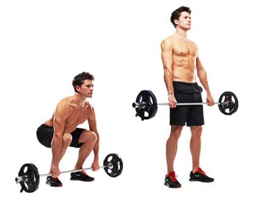 Какие группы мышц задействуются во время tgym тренировки. Какие группы мышц работают в становой тяге? 5 вариаций лучших вариантов тяги штанги