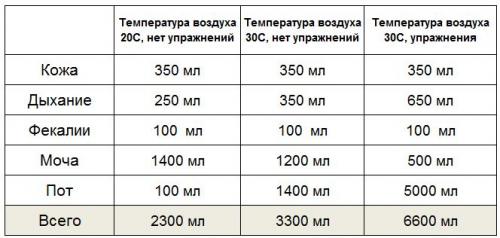 Как вода влияет на процесс сжигания жира во время тренировок. Как и зачем пить воду до во время и после тренировки?