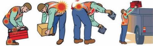 Как правильно работать со свободными весами: 3 ключевых правила 02 Как правильно работать со свободными весами: 3 ключевых правила 02