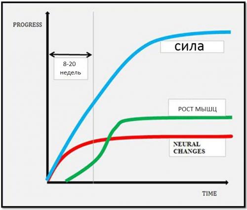 Эффективные программы тренировок в зале для мужчин: как достичь идеальной формы 01 Эффективные программы тренировок в зале для мужчин: как достичь идеальной формы 01