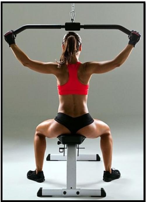 Какие группы мышц лучше всего работать в тренажерном зале для девушек. Упражнения для девушек в тренажерном зале: основные тренажеры