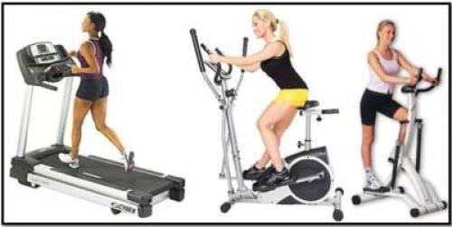 Какие группы мышц лучше всего работать в тренажерном зале для девушек. Упражнения для девушек в тренажерном зале: основные тренажеры