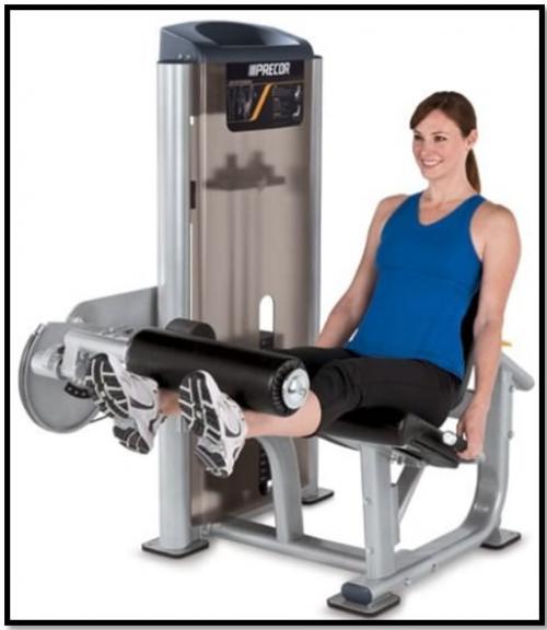 Какие группы мышц лучше всего работать в тренажерном зале для девушек. Упражнения для девушек в тренажерном зале: основные тренажеры