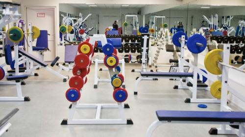 Как создать идеальное расписание тренировок в фитнес-хаусе на культуризме 04