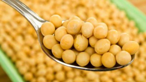 Какие продукты содержат достаточное количество белка для подготовки к тренировке. Топ-10 продуктов по содержанию белка