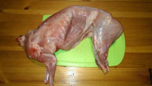 Какие продукты содержат достаточное количество белка для подготовки к тренировке. Топ-10 продуктов по содержанию белка