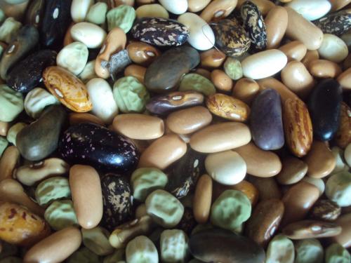 Какие продукты содержат достаточное количество белка для подготовки к тренировке. Топ-10 продуктов по содержанию белка