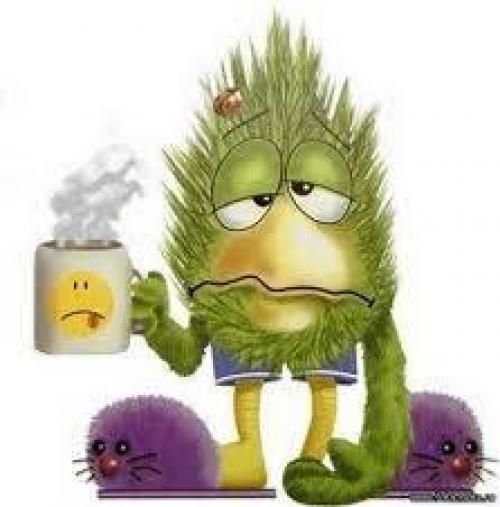 Какую роль играет координация в спортивной деятельности. О спорте и физических способностях. [Част.  Координационные способности]