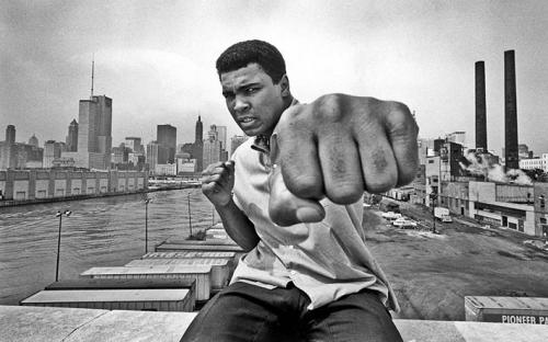 Путь к успеху: какие цитаты могут помочь в мотивации для тренировок 12 Путь к успеху: какие цитаты могут помочь в мотивации для тренировок 12