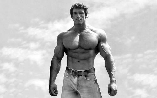 Путь к успеху: какие цитаты могут помочь в мотивации для тренировок 08 Путь к успеху: какие цитаты могут помочь в мотивации для тренировок 08