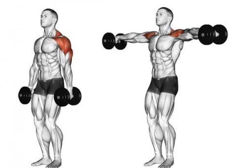 Как правильно разминаться перед занятиями на спортивной площадке. Как правильно разминаться перед тренировкой