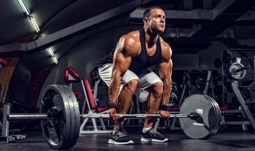 Какие упражнения стоит включить в тендем для тренировки спины. Анатомия мышц спины