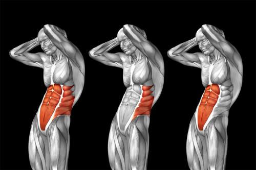 Какие упражнения на пресс подходят для мужчин. // Мышцы живота —, что это?