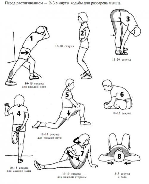 Полное руководство: как составить тренировочную программу для начинающих 03