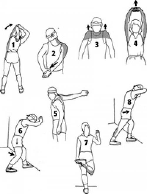 Полное руководство: как составить тренировочную программу для начинающих 02